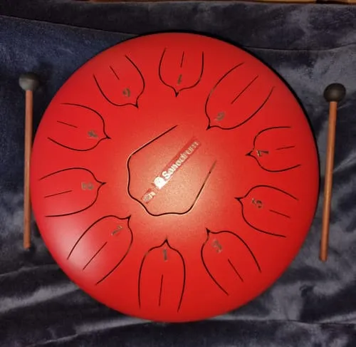 Kundenfoto der Sonodrum Zungentrommel von Jan